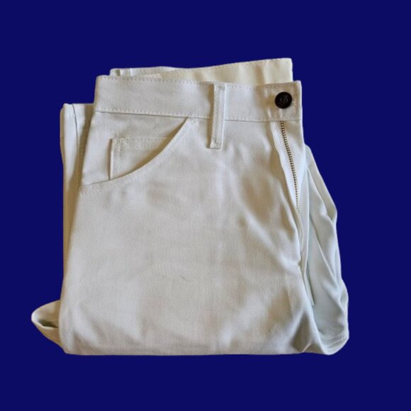 Sherwin Williams by Dickies Carpenter/Painter Pants Solid White Size 30x30 - Picture 1 of 7